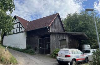 Bauernhaus kaufen in 79400 Kandern, PFERDE u. NUTZTIERHALTER TRAUM! Immobilienpaket mit Urigem Bauernhaus, idyllische Weiden, Reitplatz