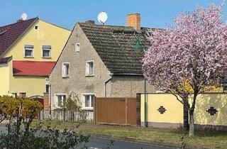 Bauernhaus kaufen in 06917 Jessen, Jessen (Elster) - Wohnhaus mit Nebengebäuden