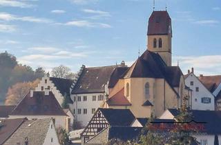 Bauernhaus kaufen in 78250 Tengen, Charmantes, saniertes Bauernhaus mit viel Potenzial und traumhaftem Blick auf Schloss Blumenfeld