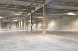 Gewerbeimmobilie mieten in 49451 Holdorf, Holdorf, direkt an der A1, bis zu 14.200 m² teilbare Hallenfläche zu vermieten