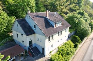 Mehrfamilienhaus kaufen in 36269 Philippsthal, Einmalige Gelegenheit, modernisiertes Mehrfamilienhaus mit über 8000m² Grundstück