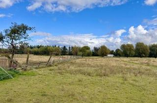 Grundstück zu kaufen in 17321 Löcknitz, HORN IMMOBILIEN ++ 5,6 ha bei Löcknitz, als Wildtierfarm, zur Pferdehaltung oder für Alpakas