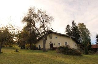 Bauernhaus kaufen in 94139 Breitenberg, Breitenberg - Saniertes Bauernhaus Bauern-Sacherl mit historischem Flair