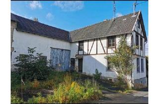 Bauernhaus kaufen in 56651 Niederzissen, Niederzissen - Grundstück Haus Niederzissen Rodder Bauernhaus Scheune