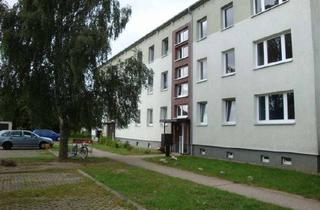 Wohnung mieten in Querstraße 11, 17509 Hanshagen, Große 4-Raum Wohnung in ländlicher Gegend