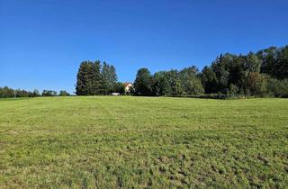 Bauernhaus kaufen in Otterwaldstraße 37, 87767 Niederrieden, Absolute Alleinlage Perle Bauernhaus mit Herz Erholungsoase Weitblick 2 Wohnungen + Nebengebäuden