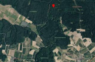 Gewerbeimmobilie kaufen in Leonhardistr, 84089 Aiglsbach, Waldfläche nähe Aiglsbach und Berghausen