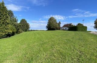 Grundstück zu kaufen in 89233 Neu-Ulm, Baugrundstück mit Wiese in Neu-Ulm/Holzschwang