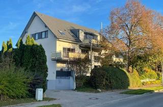 Wohnung mieten in Fischbacher Str. 31/3, 88444 Ummendorf, Exklusive, neuwertige 2,5-Zimmer-Wohnung mit geh. Innenausstattung mit Balkon und EBK in Ummendorf