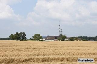 Einfamilienhaus kaufen in Zöllnitzer Straße, 09306 Seelitz, Dreiseitenhof mit Einfamilienhaus und Nebengebäuden