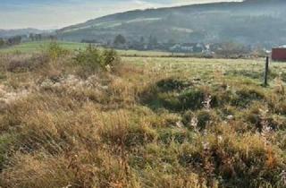 Grundstück zu kaufen in 54611 Hallschlag, **Baugrundstück in Randlage mit herrlichem Weitblick, grenznah zu Nordrhein-Westfalen**