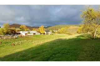 Bauernhaus kaufen in 54550 Daun, Daun - Reiterhof Gestüt einziger Hof mit 11,3 Ha Eigenland unter 1. Mio