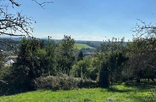 Grundstück zu kaufen in 73262 Reichenbach, Schönes Gartengrundstück mit Gartenhaus und Blick über Reichenbach zu verkaufen!