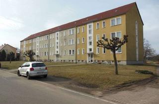 Wohnung mieten in Feldstraße 02, 04938 Uebigau, Renovierte Zwei-Raum-Wohnung in Uebigau zu vermieten