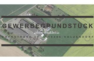 Gewerbeimmobilie kaufen in 19406 Holzendorf b Dabel, Moderner Gewerbepark mit 3 Hallen, Bürokomplex und großem Grundstück