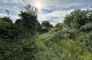 Einfamilienhaus kaufen in 22885 Barsbüttel, Einfamilienhaus im Dornröschenschlaf mit eigenem Biotop in Willinghusen