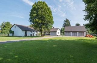 Einfamilienhaus kaufen in 89437 Haunsheim, Haunsheim - Großzügiges Einfamilienhaus mit großem Garten in Haunsheim