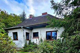 Haus kaufen in 29479 Jameln, Bungalow für die junge Familie in ruhiger Sackgassenendlage