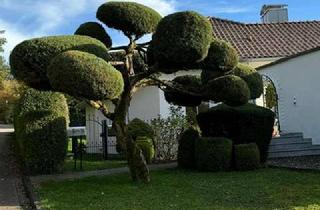 Villa kaufen in 91555 Feuchtwangen, Mediterranes Gefühl in einer eleganten, großen Villa im Park