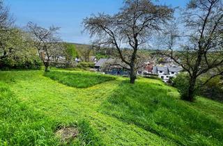 Einfamilienhaus kaufen in 69257 Wiesenbach, Streuobstwiese, Garten, Feldrandlage! Traumhaftes Einfamilienhaus mit idyllischem Grundstück