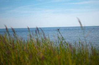 Grundstück zu kaufen in Am Nationalpark 29, 18445 Klausdorf, Ferienhausgrundstück an der Ostsee in Klausdorf (Nähe Stralsund)