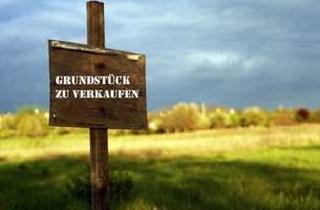 Grundstück zu kaufen in 77740 Bad Peterstal-Griesbach, *Familientraum* Baugrundstück für den Traum vom Einfamilienhaus in bester Lage