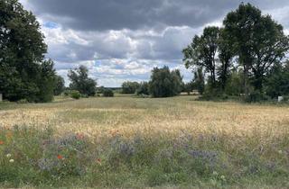 Grundstück zu kaufen in 16775 Löwenberger Land, Idyllisches Wohnen - baufreies Grundstück in Südausrichtung