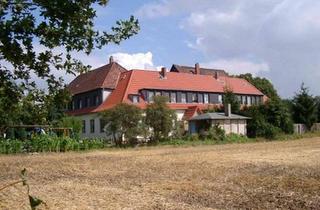 Mehrfamilienhaus kaufen in 31226 Peine, Peine - MFH in Peine Nähe Krankenhaus