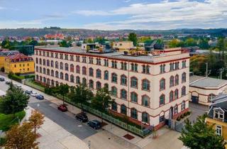 Loft kaufen in 01809 Heidenau, Loftwohnung mit Dachterrasse und Lift - Viel Platz zum Wohnen, Feiern, Schlafen und Arbeiten