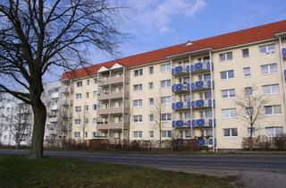 Wohnung mieten in H.-Beimler-Str. 12, 17192 Waren, 2-Raum-Wohnung in Waren (Müritz)