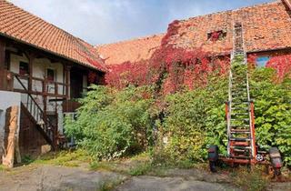 Bauernhaus kaufen in 06493 Ballenstedt, Ballenstedt - Bauernhof, Gehöft