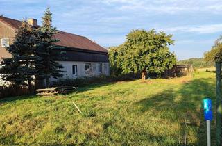 Einfamilienhaus kaufen in 16259 Falkenberg, Einfamilienhaus mit 3250 qm Grundstück