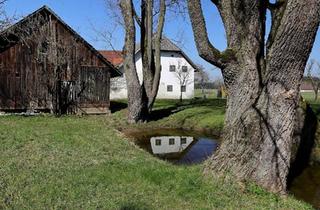 Bauernhaus kaufen in 52393 Hürtgenwald, Hürtgenwald - Bauernhaus-hof Übernahme