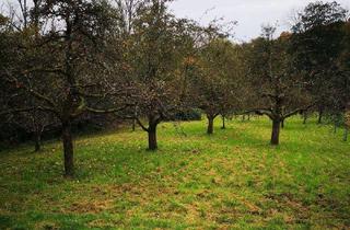 Grundstück zu kaufen in 73732 Esslingen, Sonnige Obstwiese am Bach