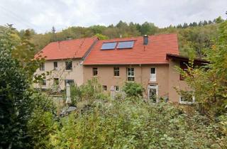 Haus kaufen in 55595 Spabrücken, Spabrücken - Idyllische Mühle in Alleinlage mit 2 Wohnhäusern, Pferdestall, Bewegungsplatz und Weideland Nähe Spabrücken!