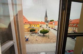 Mehrfamilienhaus kaufen in 01844 Neustadt, Neustadt in Sachsen - Mehrfamilienhaus - Historisches Flair, modernste Technik und exze