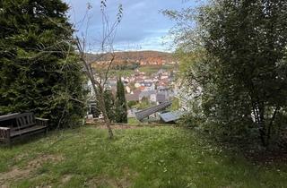 Wohnung mieten in 63857 Waldaschaff, Schöner Ausblick, Terrasse und Garten