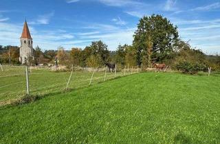 Grundstück zu kaufen in 96152 Burghaslach, Baugrundstück, in traumhafter Natur (Steigerwald) mit bestem Ausblick, 2 Zufahrten, teilerschlossen