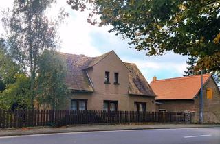 Einfamilienhaus kaufen in 04886 Arzberg, Einfamilienhaus mit Gestaltungspotenzial in Triestewitz bei Arzberg mit Zukaufoption von Gartenland