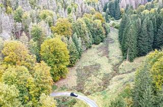 Grundstück zu kaufen in Schnetter Straße, Flst. 454, 98667 Schönbrunn, 0,8 ha Wiesen- und Waldfläche im Thüringer Wald