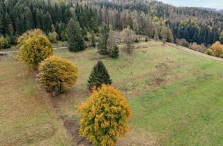 Grundstück zu kaufen in Schnetter Straße, 98667 Schönbrunn, Landwirtschaftsfläche im im Thüringer Wald