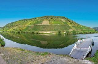 Grundstück zu kaufen in An Der Fähre, 56867 Briedel, Grundstück im Weinberg