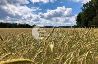 Gewerbeimmobilie kaufen in 29465 Schnega, ++Angebotsfrist: 05.11.2024++ Acker-Grünland-Wald Verkauf i. d. Gem. Warpke