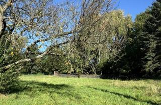 Grundstück zu kaufen in 01728 Bannewitz, ***Natur Pur vor den Toren der Landeshauptstadt Dresden***