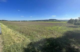 Grundstück zu kaufen in 92342 Freystadt, Landwirtschaftliche Grundstücke zu verkaufen!