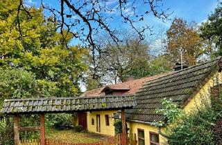 Einfamilienhaus kaufen in 54636 Weidingen, Weidingen - Charmantes Einfamilienhaus in ruhiger Lage