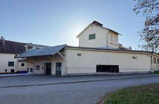 Gewerbeimmobilie mieten in 87480 Weitnau, Lager- Produktionshalle in Weitnau - Zentrum