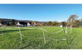 Grundstück zu kaufen in Kirchweg, 37635 Lüerdissen, Vertragsfreies Baugrundstück in idyllischer Lage