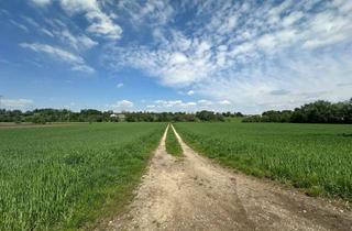 Gewerbeimmobilie kaufen in 85232 Bergkirchen, Landwirtschaftliches Grundstück am Ortsrand von Günding (Gde. Bergkirchen) zu verkaufen!