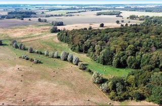 Grundstück zu kaufen in 17179 Gnoien, Grundstücke in 17179 Walkendorf OT Boddin